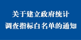 關(guān)于建立政府統(tǒng)計(jì)調(diào)查指標(biāo)白名單的通知